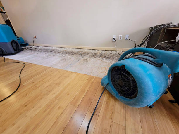 Professional Burst Pipe Water Damage technician working in Cherokee, OK